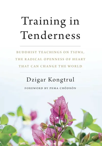 Training in Tenderness by Dzigar Kongtrul Rinpoche